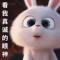 懵懂的年纪