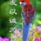 AF胜信