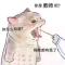 灵灵00