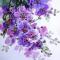 cheng_jianxin126