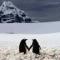 大眼睛
