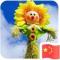 我很耀眼太阳