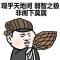银甲红衣