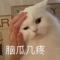 想的美