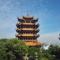 黄阿哥
