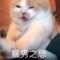 虫虫