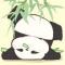 谭洋