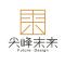 尖峰未来