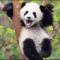 清风徐来