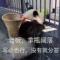 王多鱼