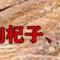 龍鼠祥芸