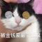 梦里什么都有