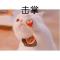 adgj俊利