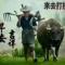 合作共赢