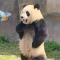 全能时待