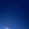 WWWW
