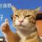 大尾巴狼
