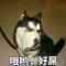 六楼后座