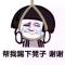 自由飞翔