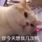 未来风云变幻