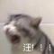 火火火火火