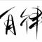 哈喽KT