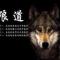 苍狼