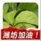 我心菲翔