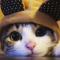 秋名小猪