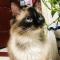 Evina