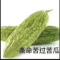 暴龙哥