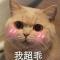 初心