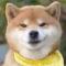 狼叔