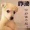 xinwuhen_507