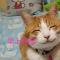 猫头