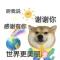 推老奶奶闯红灯