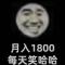 玛雅大街妮
