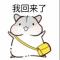 到底玩什么呢
