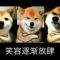 不想爱