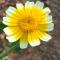 arthur_zhuhai
