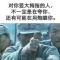 有意思吗？