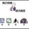 兔子队长