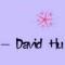 ADavid红伟