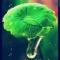 残荷听雨