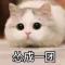 秋意正寒