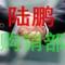 陆鹏档口
