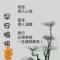 感恩的心