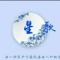 流浪的星歌