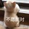 是主人呀丶