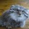罪恶天堂